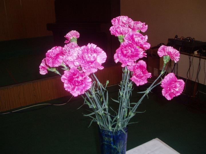 P1010043.JPG